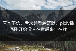 原本不信，后来越看越沉默，pixiv插画刚开始没人在意后来全在找