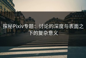 探秘Pixiv专题：讨论的深度与表面之下的复杂意义
