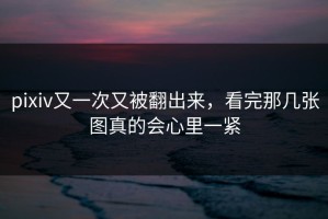 pixiv又一次又被翻出来，看完那几张图真的会心里一紧