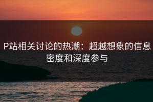 P站相关讨论的热潮：超越想象的信息密度和深度参与