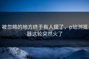被忽略的地方终于有人提了，p站浏览器这轮突然火了