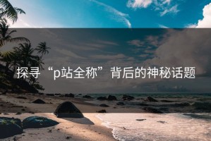 探寻“p站全称”背后的神秘话题