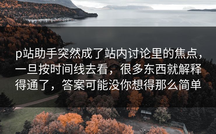 p站助手突然成了站内讨论里的焦点，一旦按时间线去看，很多东西就解释得通了，答案可能没你想得那么简单