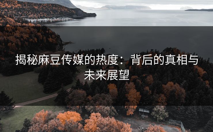 揭秘麻豆传媒的热度：背后的真相与未来展望